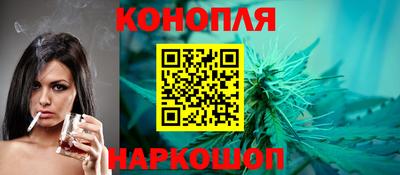 сатива Тверь