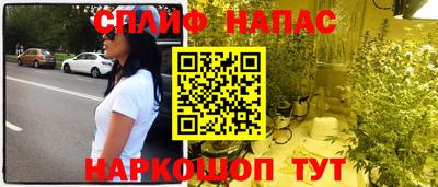 сатива Тверь
