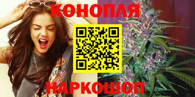 сатива Тверь